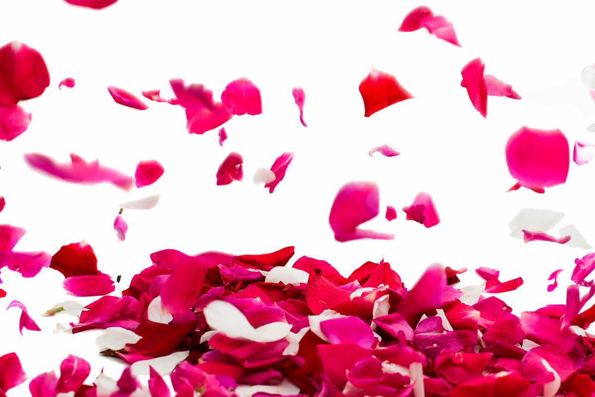 modern-3-piece-canvas-print-let-it-rain-red-roses-for-me