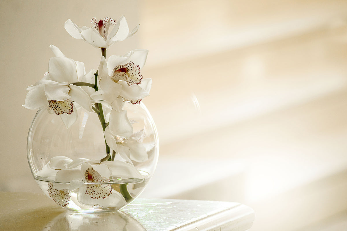 framedposter-print-orchid-in-the-glass