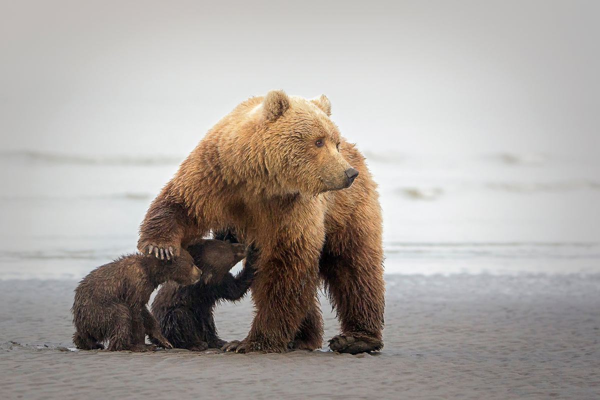 3-piece-canvas-print-family-time