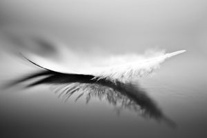 framedcanvas-print-white-xza