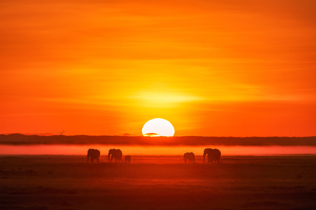 canvas-print-africa-impression-x