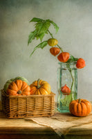 acrylic-print-autumn-xqk