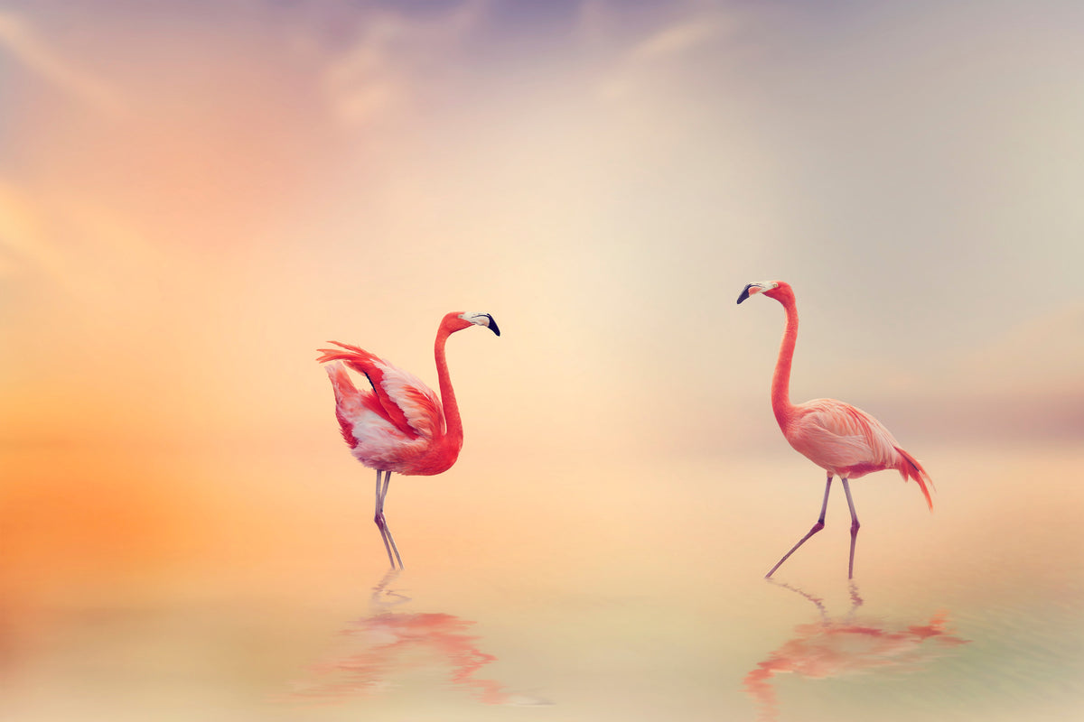 poster-print-romantic-flamingos