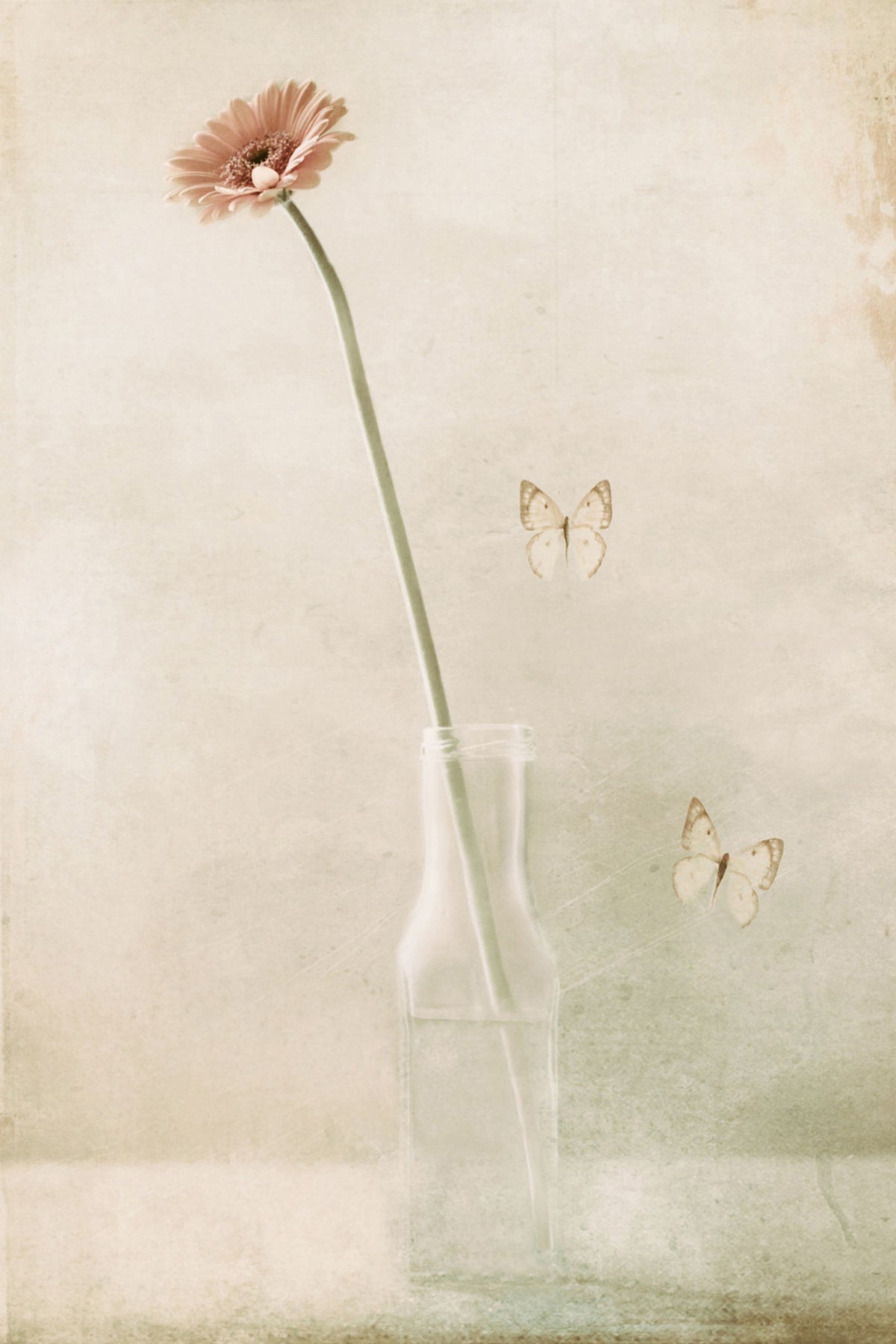 framedposter-print-miss-daisy