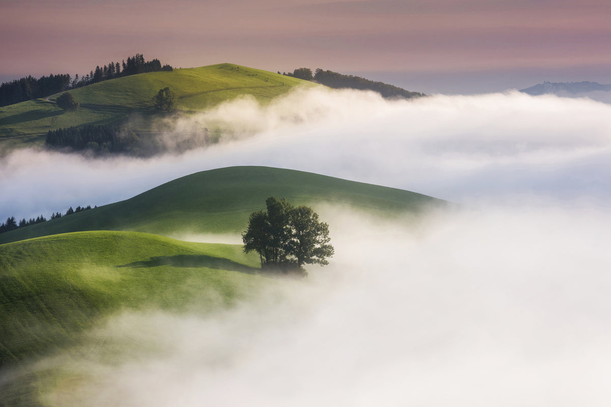framedposter-print-green-hills-x