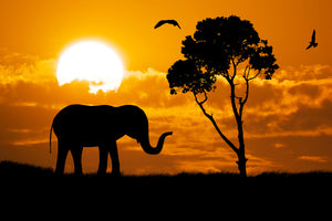 3-piece-acrylic-print-dreamy-africa