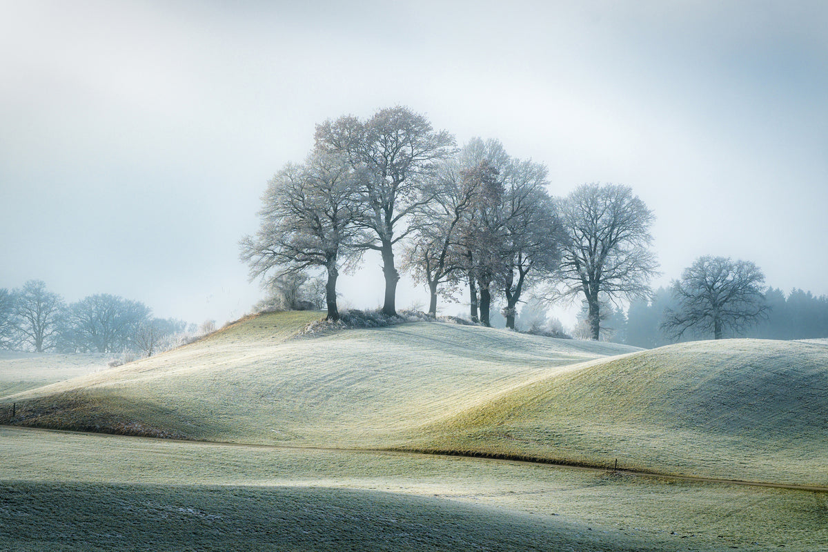 canvas-print-it-is-not-in-tuscany-x