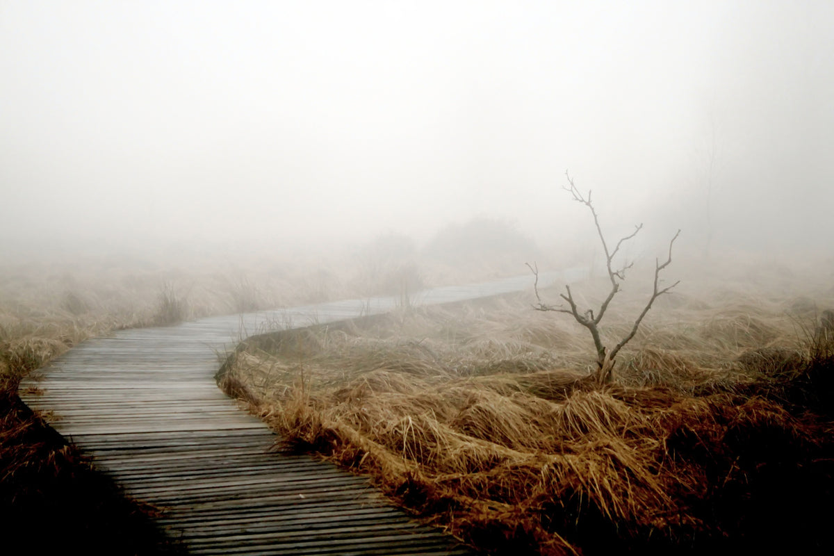 3-piece-acrylic-print-dense-fog