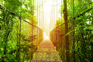 modern-3-piece-aluminium-print-suspension-bridge