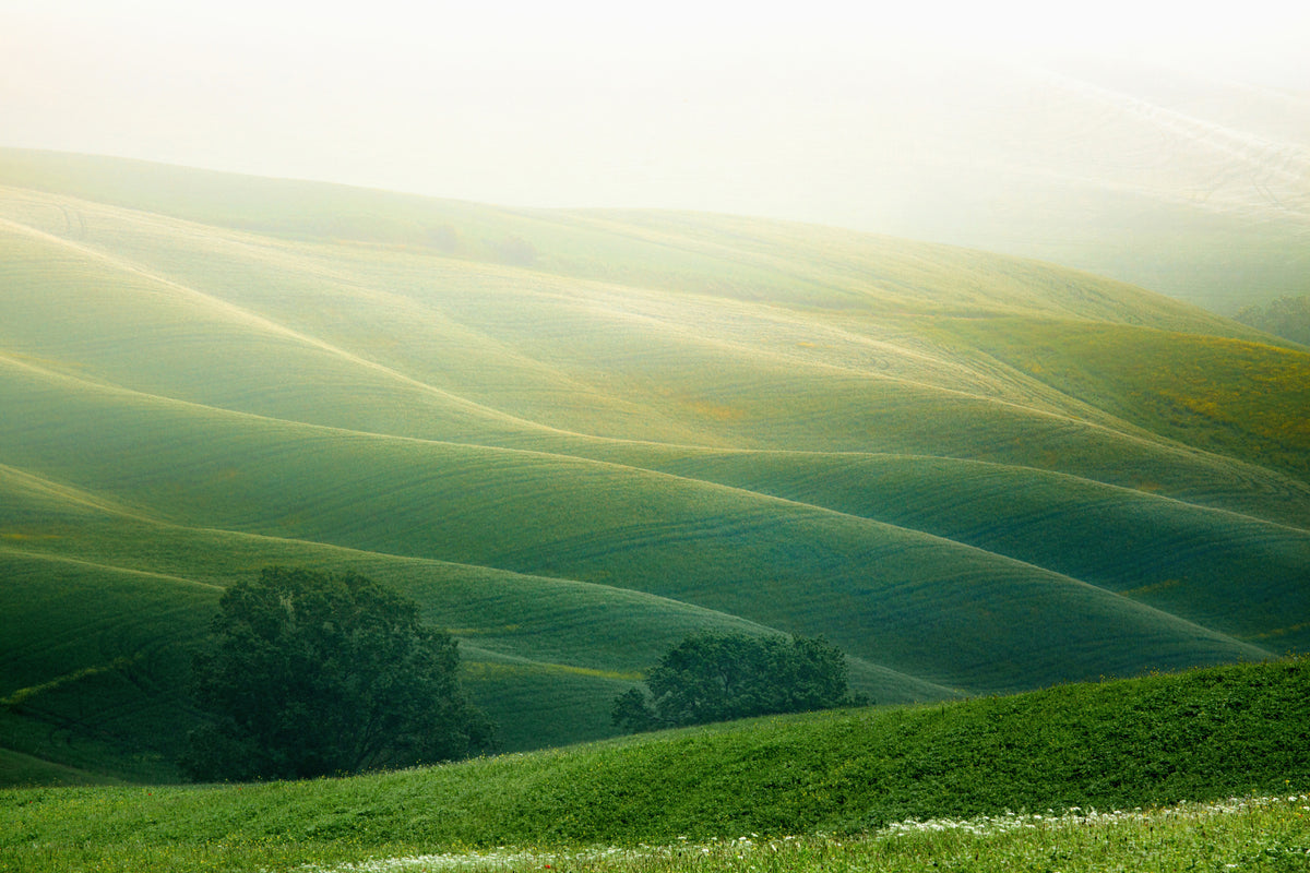 framedposter-print-tuscany