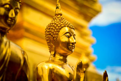 poster-print-the-golden-buddhas