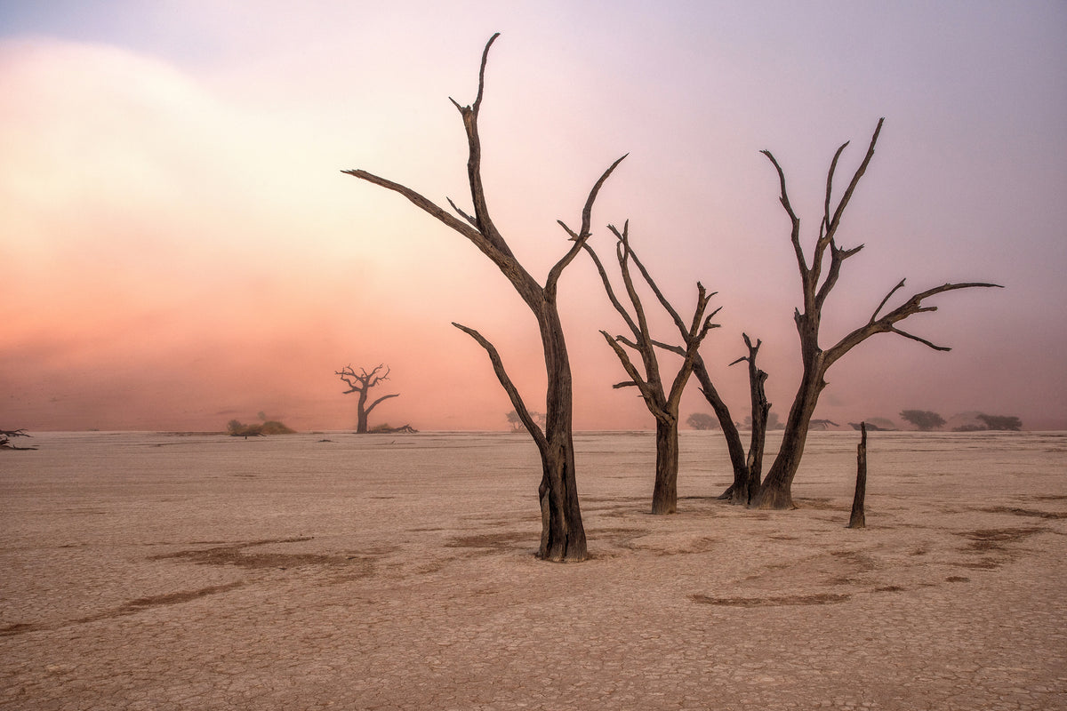 3-piece-acrylic-print-fog-in-deadvlei