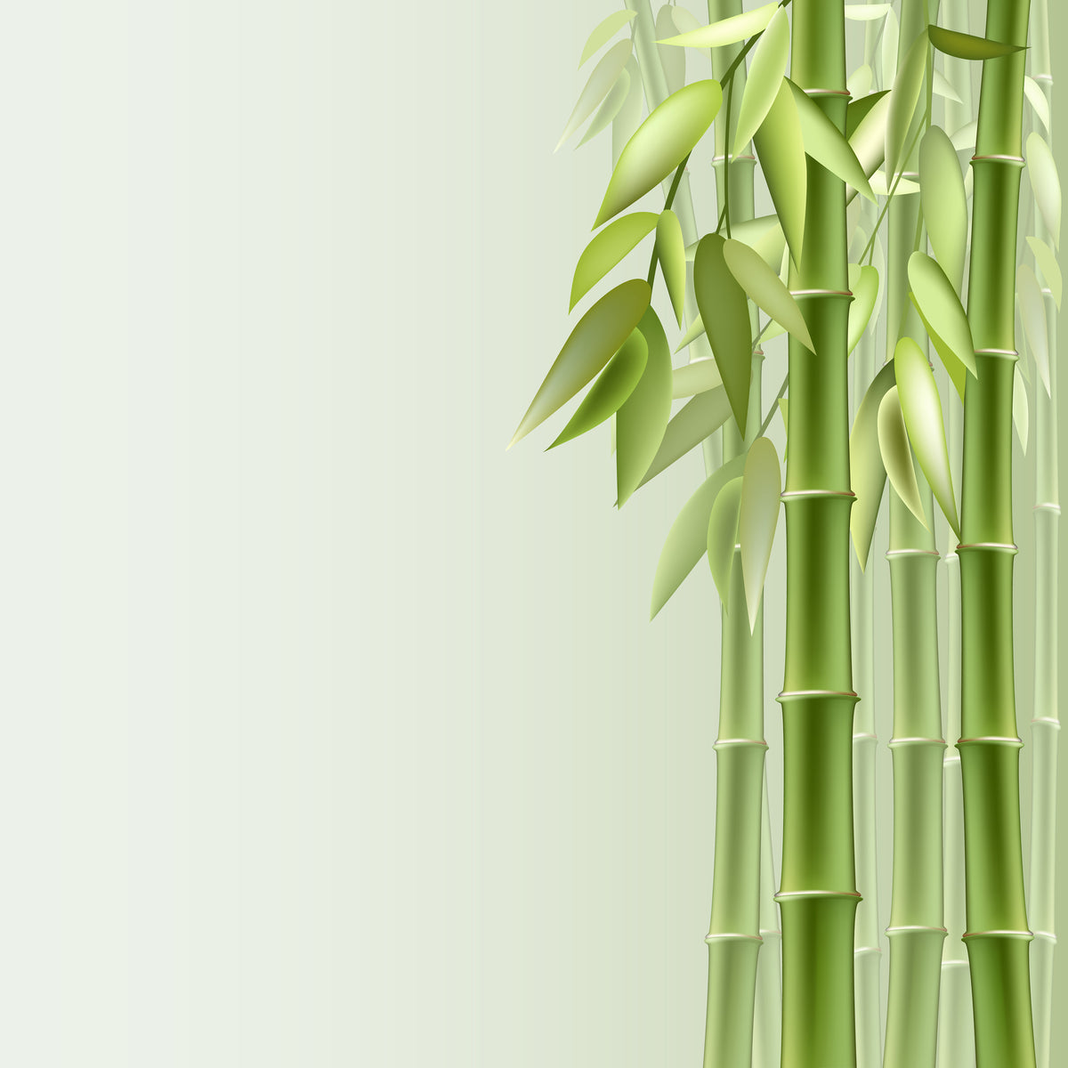 acrylic-print-green-bamboo