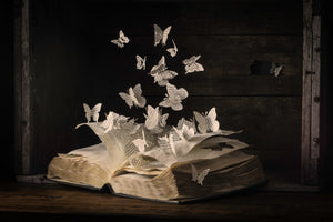 framedposter-print-lepidopterology