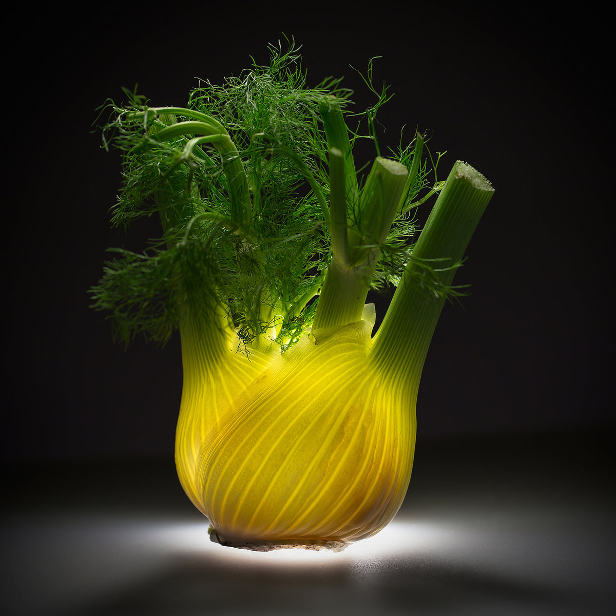 aluminium-print-fennel