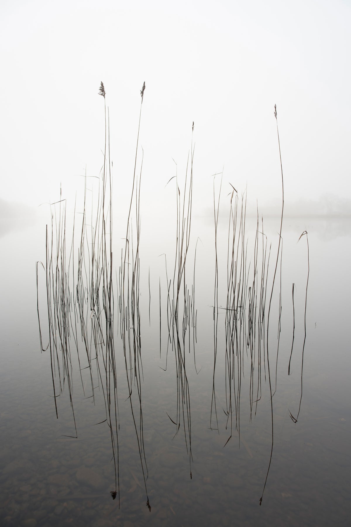 poster-print-silence