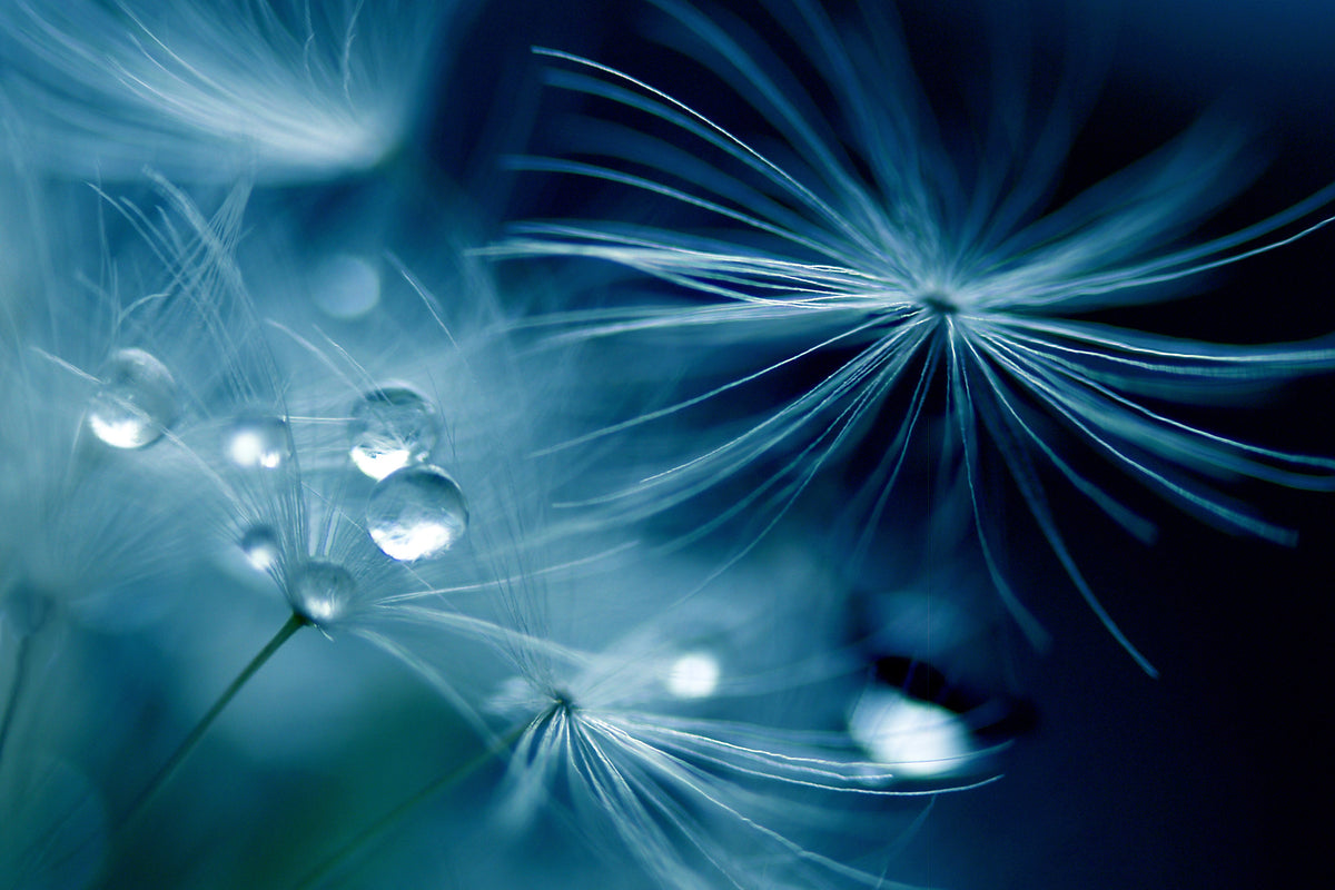 framedcanvas-print-soft-touch-x