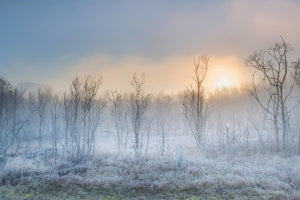 framedcanvas-print-a-touch-of-winter