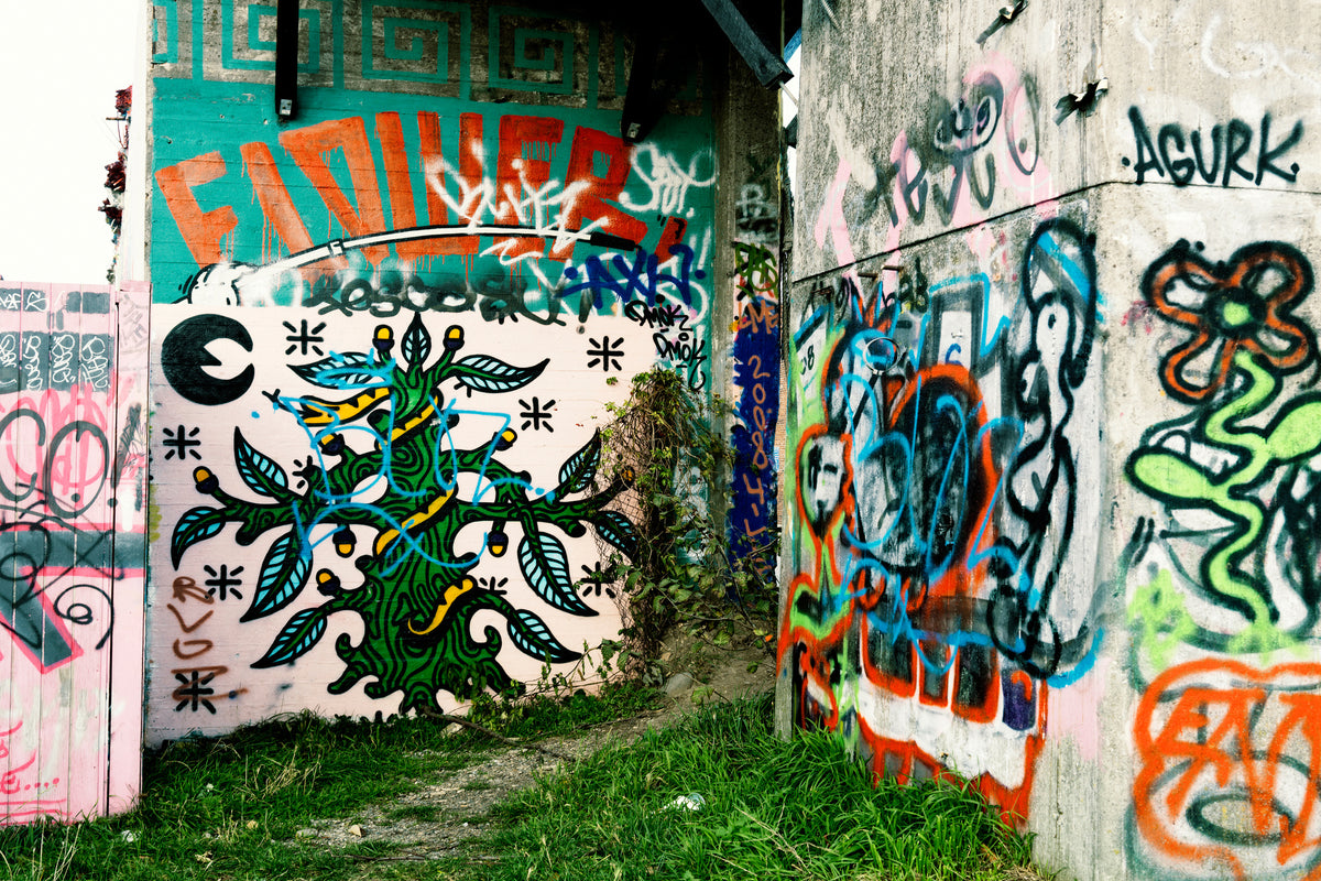 3-piece-acrylic-print-graffiti-in-the-backyard