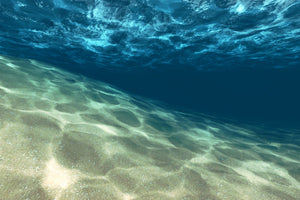 poster-print-under-the-water