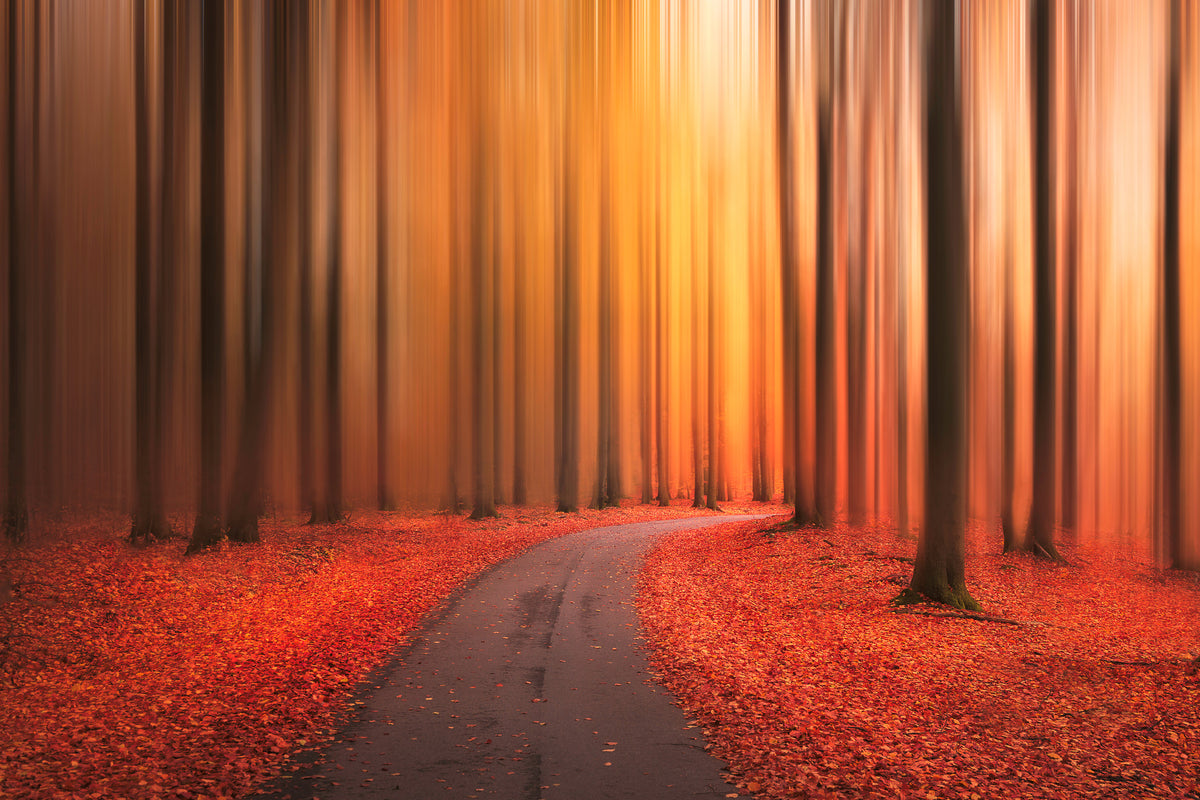 framedcanvas-print-path-to-unknown