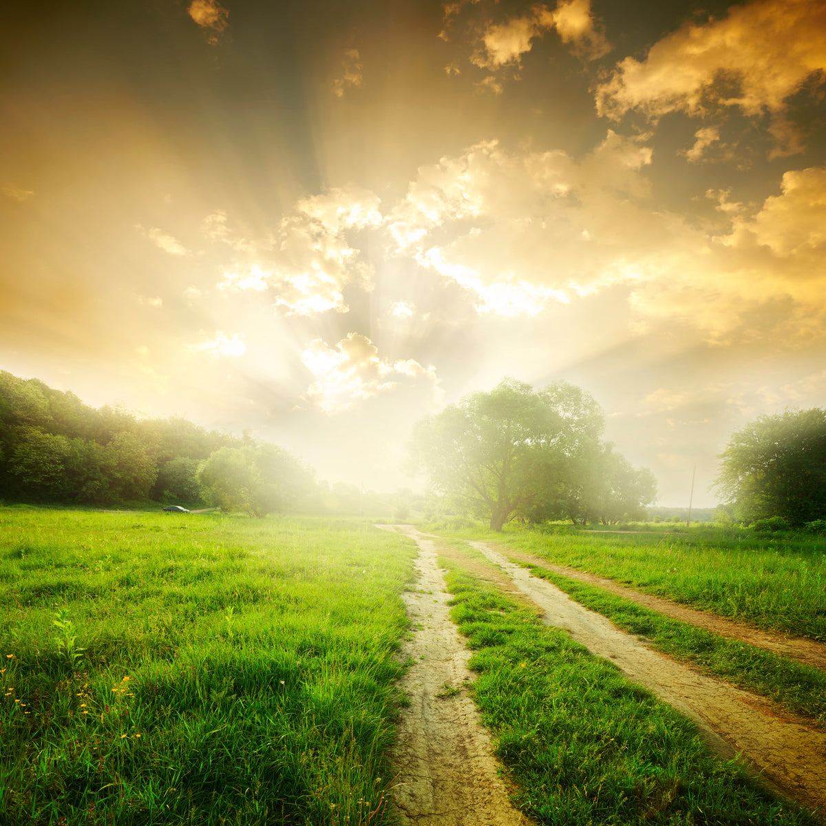 canvas-print-mystic-sunset