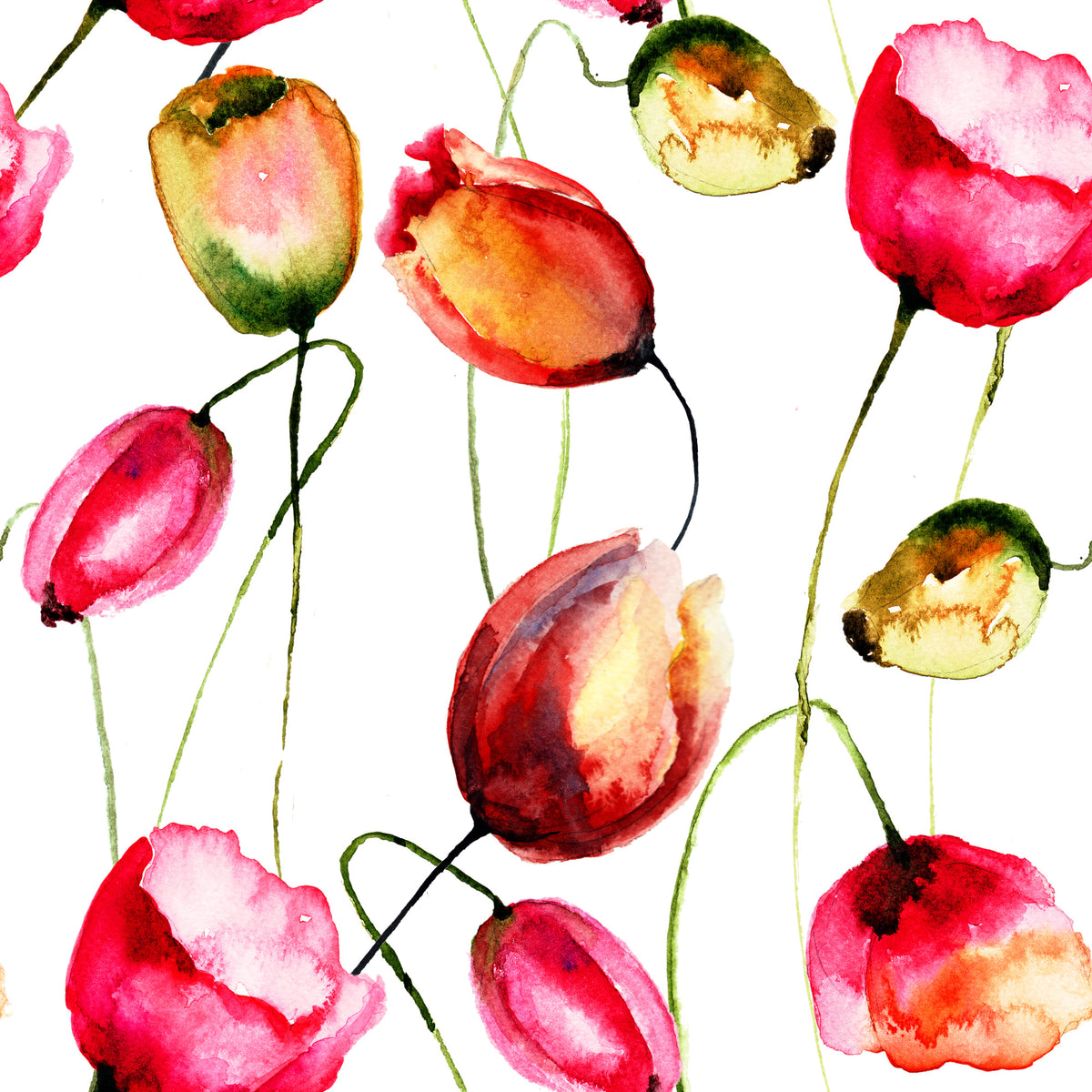 poster-print-painting-the-tulips