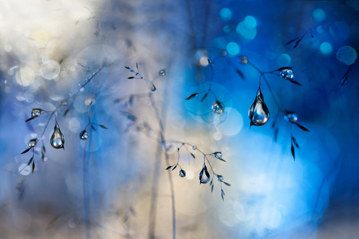 modern-3-piece-canvas-print-blue-rain