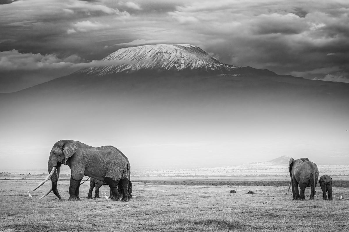 aluminium-print-the-land-of-giants-x