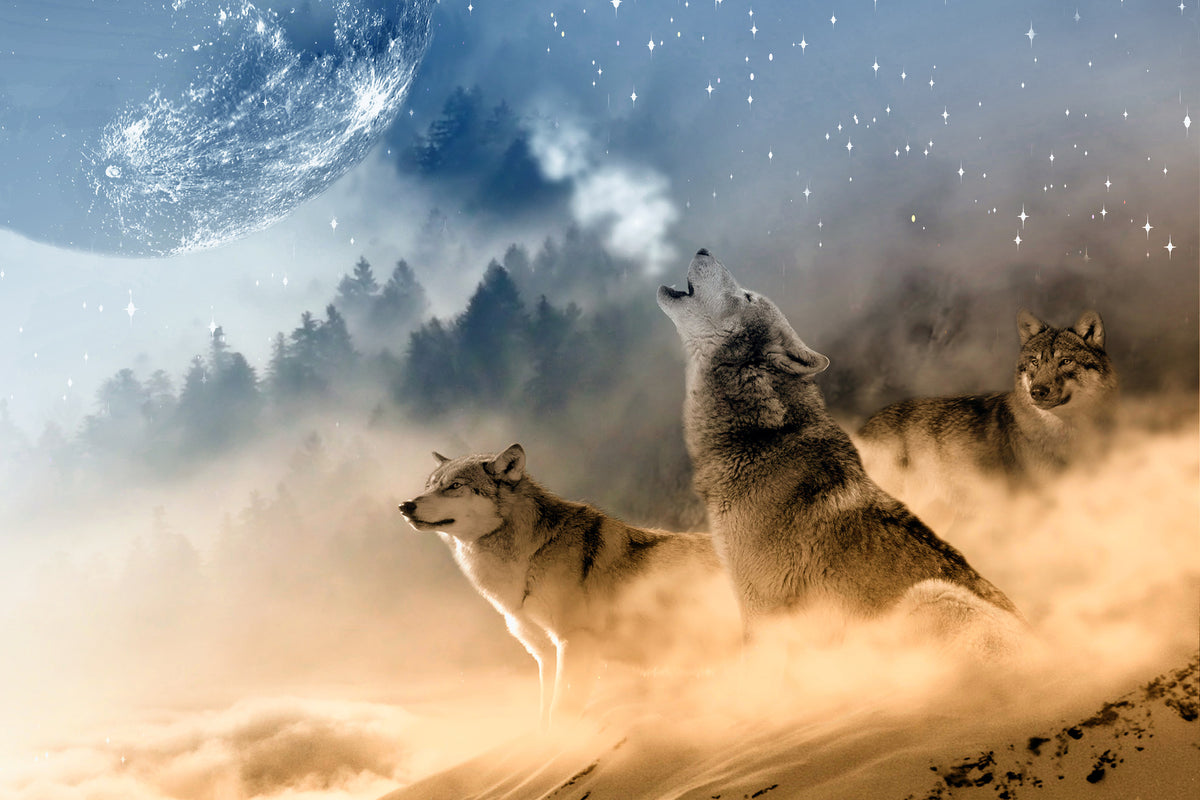 aluminium-print-the-world-of-wolves