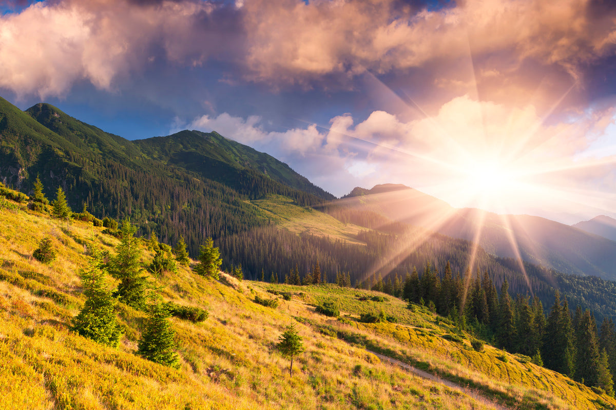 modern-3-piece-acrylic-print-beginning-of-autumn