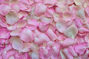 framedcanvas-print-rose-petals-in-pink-ii
