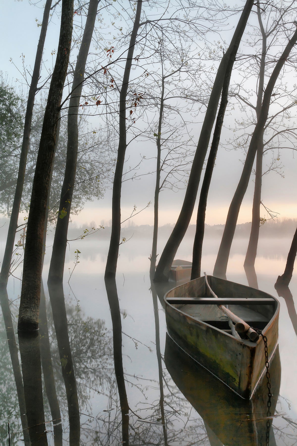 aluminium-print-serene-dawn-x