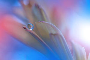 canvas-print-touch-me-softly