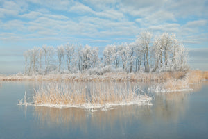 poster-print-winter-xfq