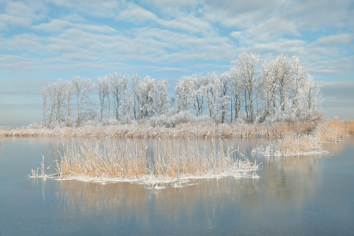 poster-print-winter-xfq