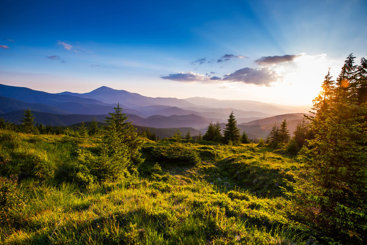 3-piece-aluminium-print-peaceful-landscape