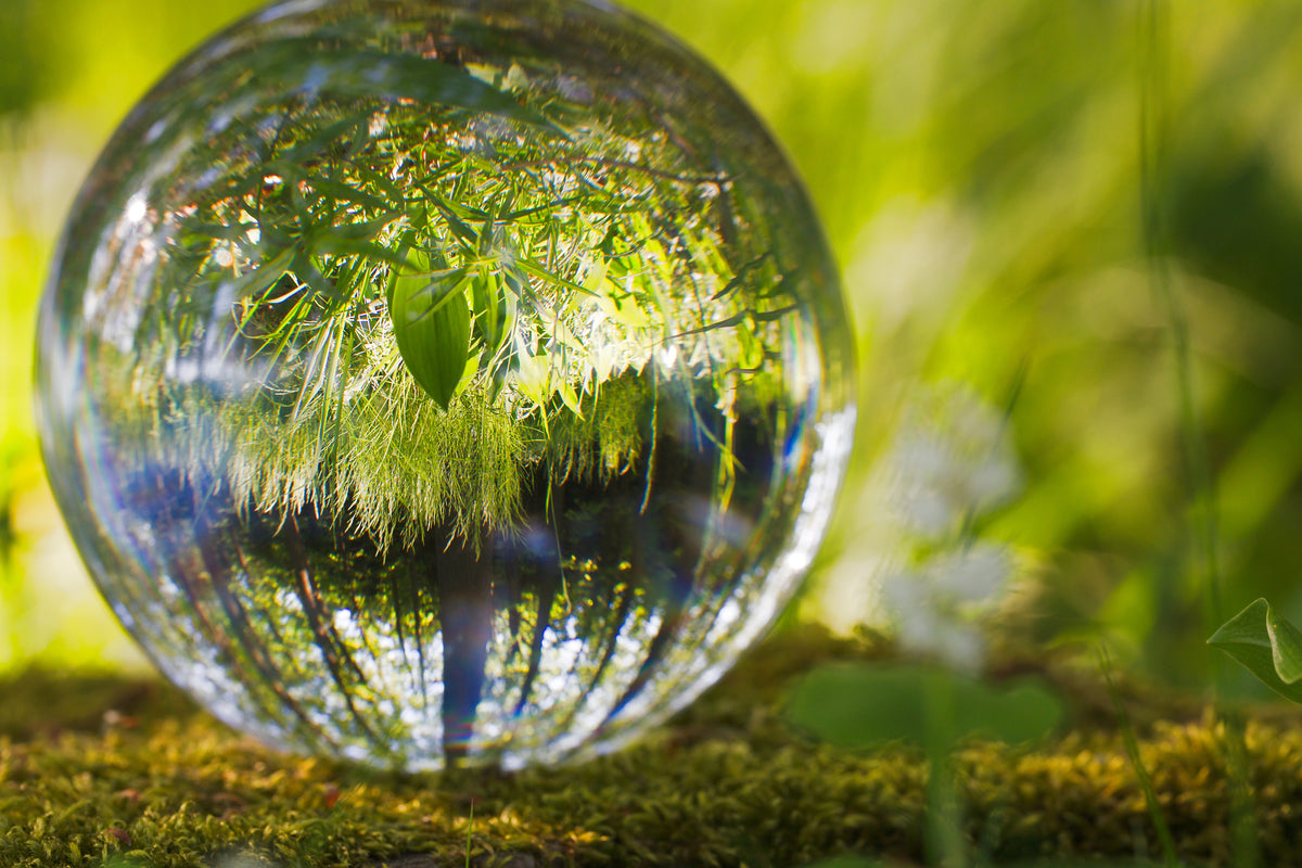 poster-print-nature-ball