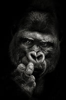 acrylic-print-attitude-x