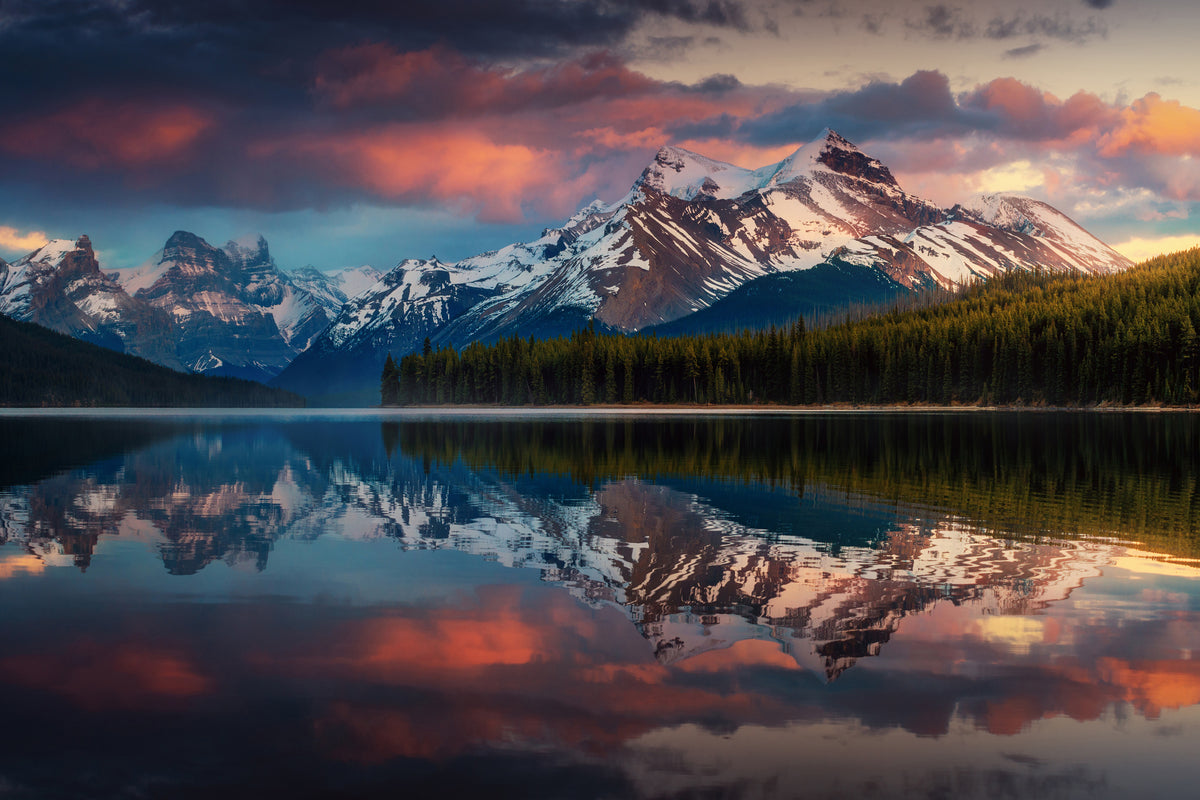 aluminium-print-maligne-color-x
