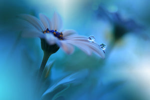 modern-3-piece-acrylic-print-beyond-the-visible