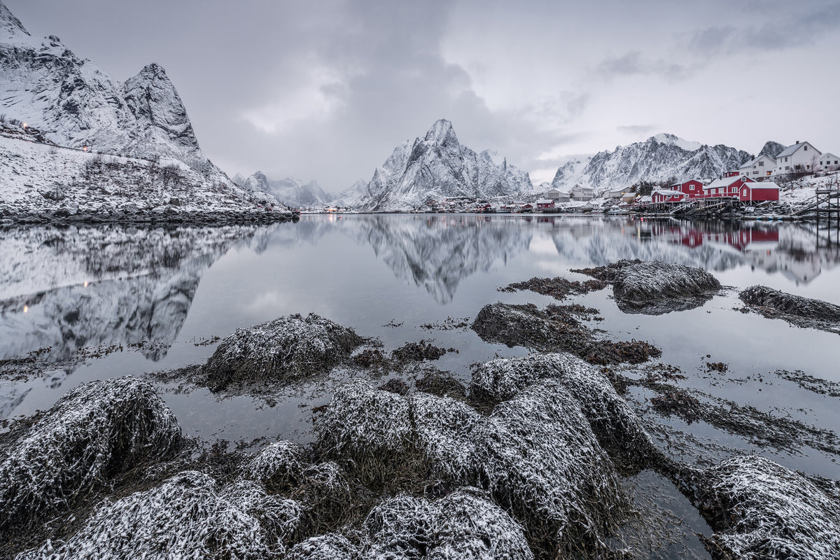 framedcanvas-print-reine-x