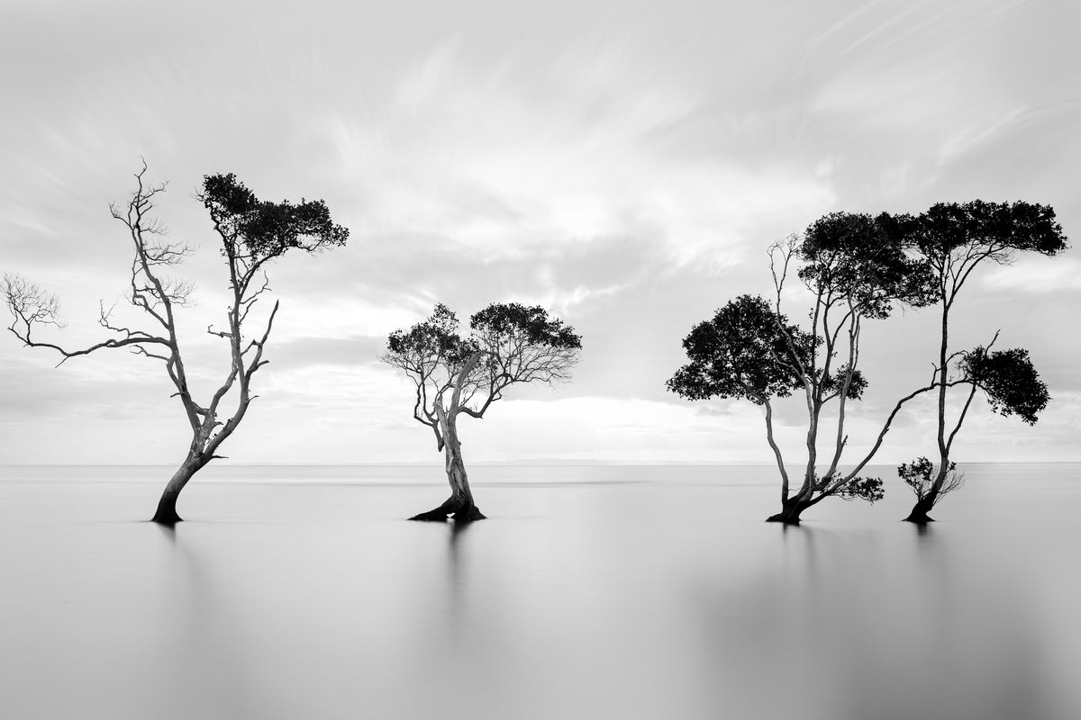 acrylic-print-drowning-not-waving