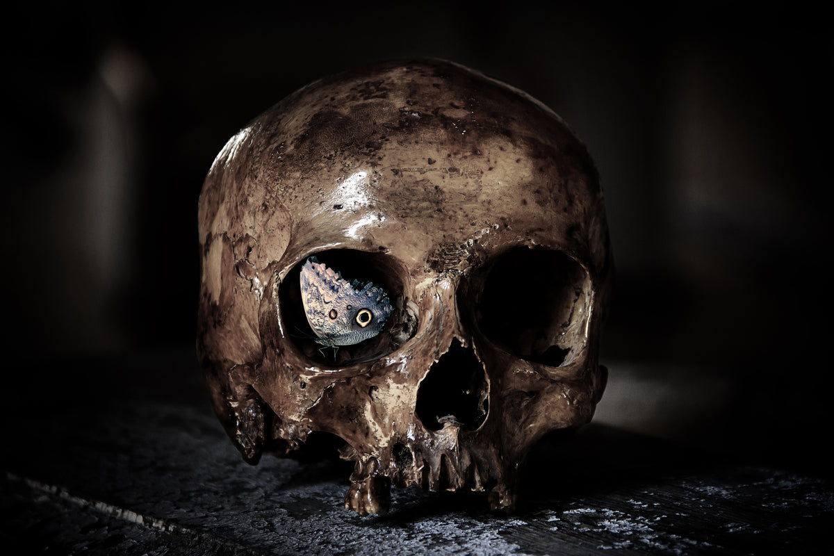 3-piece-acrylic-print-the-skull