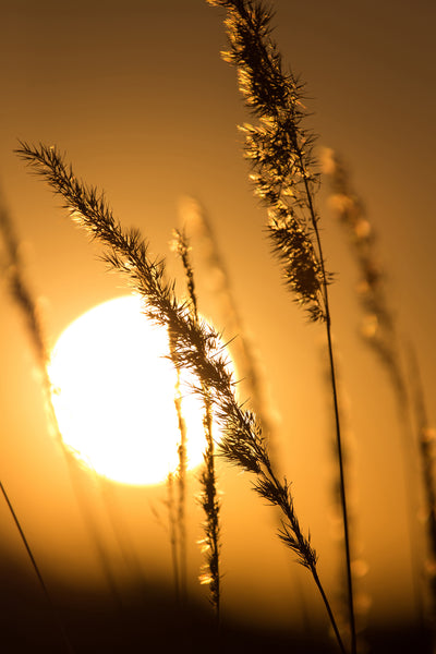 poster-print-romantic-sunset
