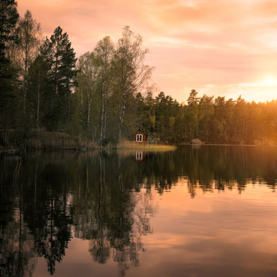poster-print-the-little-red-house