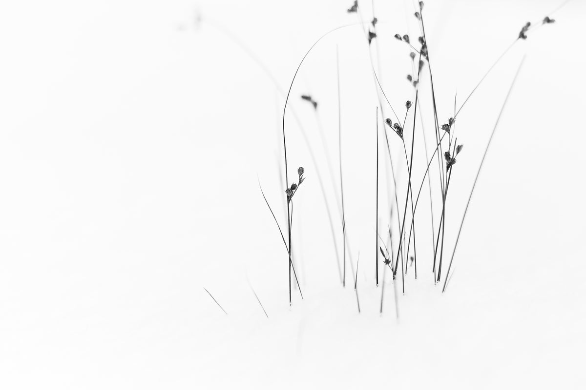 3-piece-aluminium-print-black-on-white