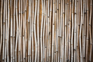 3-piece-acrylic-print-dried-bamboos