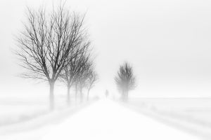 poster-print-my-tiny-world-x