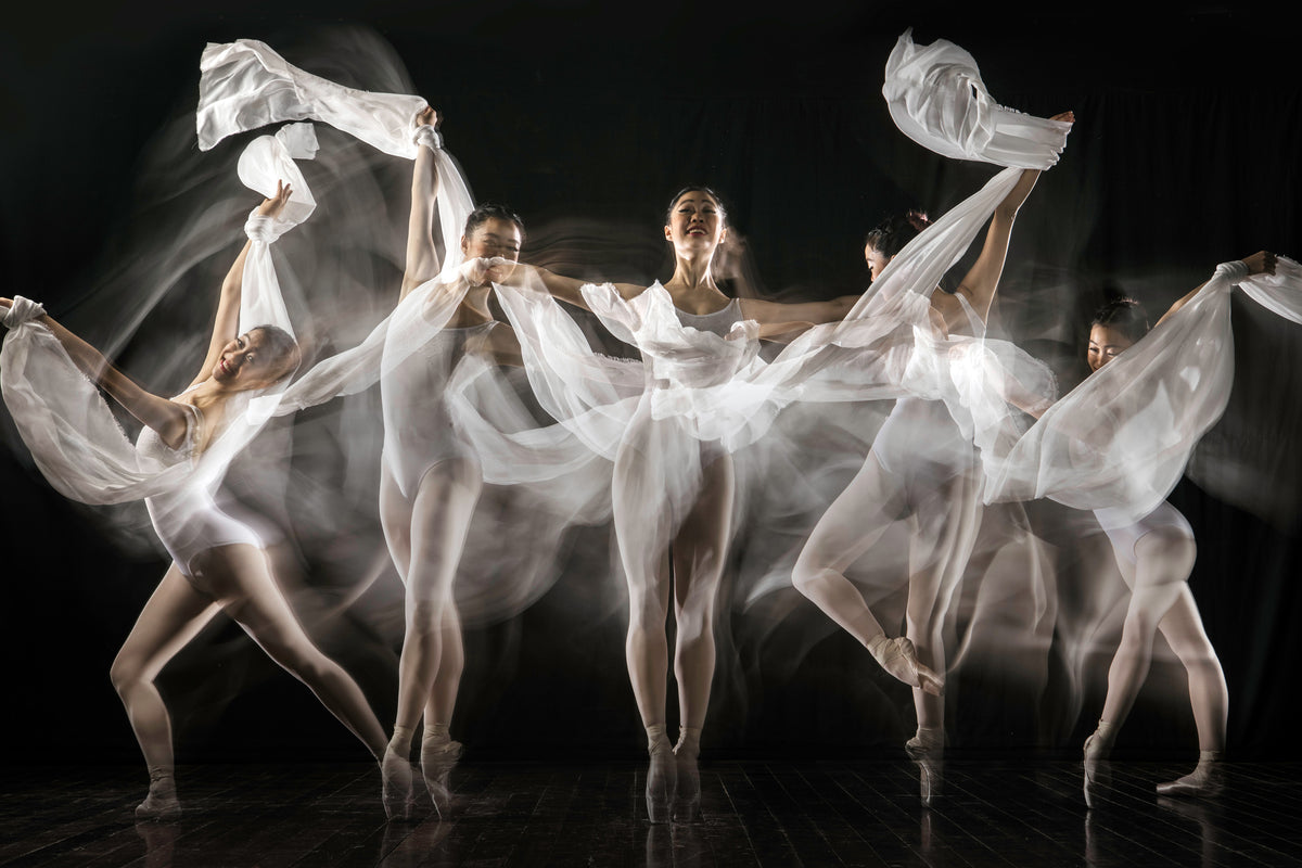framedposter-print-ballerina-story